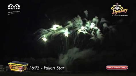 Fallen Star Dynasty Collection Wolff Vuurwerk Vuurwerkland