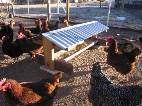 Zenbirder S Solar Heated Solar Powered Chicken Coop Backyard Chickens Community