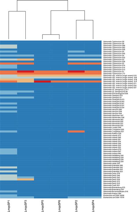 Heatmap Of Phage Host Range Phages Are Displayed On The X Axis And