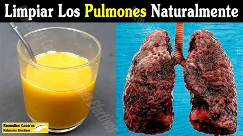 Pin En Pulmones