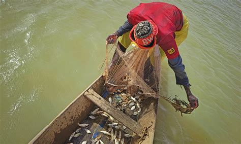 Niger River