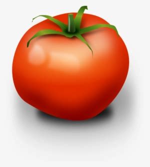 Tomato Drawing Kamatis - Vegetable Tomato In Clip Art Transparent PNG ...