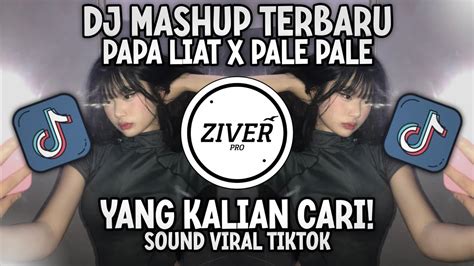 DJ PAPA LIAT X PALE PALE MASHUP JEDAG JEDUG TERBARU SLOW REVERB YouTube