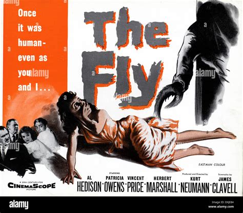 The fly 1958 hi-res stock photography and images - Alamy