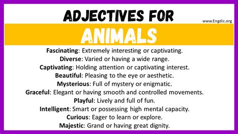 20 Best Words To Describe Animals Adjectives For Animals Engdic