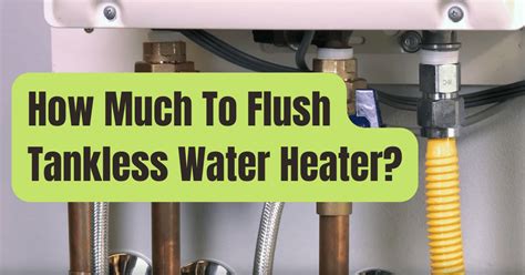 How To Keep A Tankless Water Heater From Freezing Rving Beginner