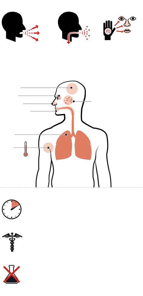 What Is Measles And Why Is It Making A Comeback A Guide The Globe