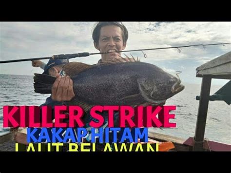 Strike Kakap Batu Di Laut Belawan Tuasan Belawan YouTube