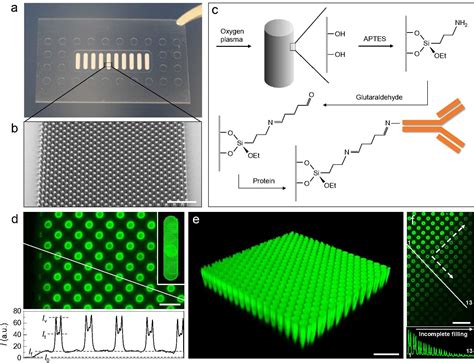 Use Of Polymer Micropillar Arrays As Templates For Solid Phase