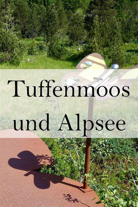 Gro Er Alpsee Immenstadt Wandern Allg U Urlaub Immenstadt Sch Ne