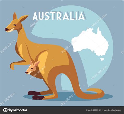 Canguro Con Mapa De Australia En El Fondo Vector De Stock 339391934 De