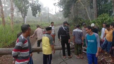 Dua Tiang Listrik Roboh Dan Melintang Di Jalan Dua Desa Alami