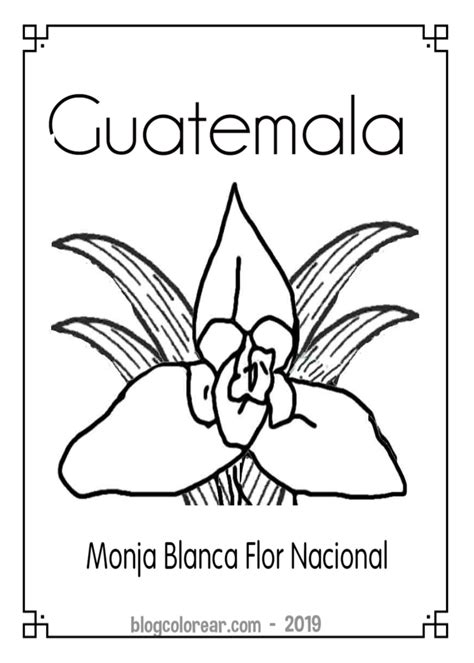 Colorear dibujo Monja Blanca flor de Guatemala - Colorear dibujos ...