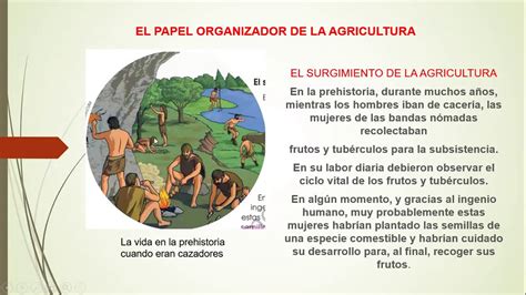 EL PAPEL ORGANIZADOR DE LA AGRICULTURA YouTube