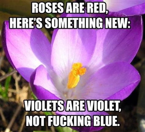 Violet Youre Turning Violet Violet Funny Poems Roses Are Red