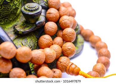 Buddhist Rosary Buddha Tree Stock Photo Shutterstock