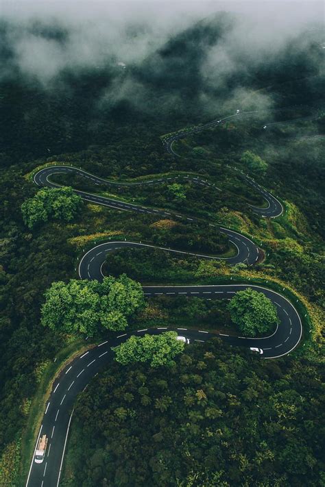 Windy Road Through A Forest 9GAG