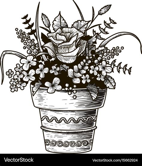 Flowers In A Pot Sketch Isolated Royalty Free Vector Image