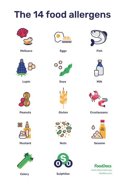 14 Allergens Poster Download Free Template In 2023 Allergies Food