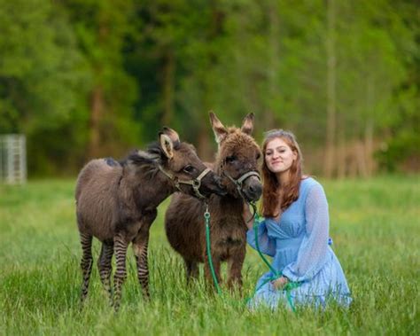 Funny Farm Petting Zoo Updated July 2025 31 Photos 11539