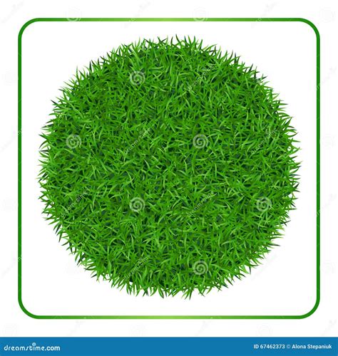 Green Grass Background Circle 1 Stock Vector Illustration Of Backdrop