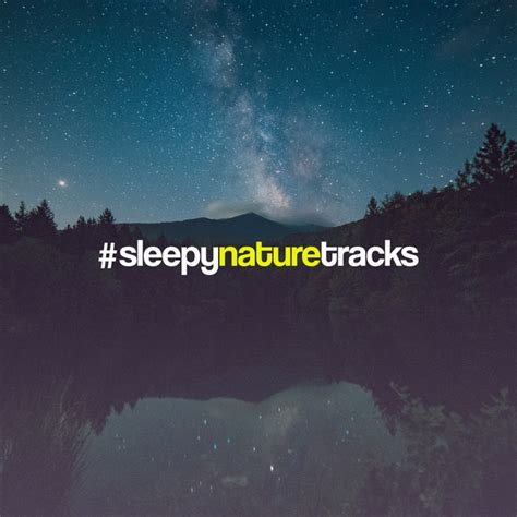 Light Trickling Song And Lyrics By Sleep Sounds Of Nature Spotify