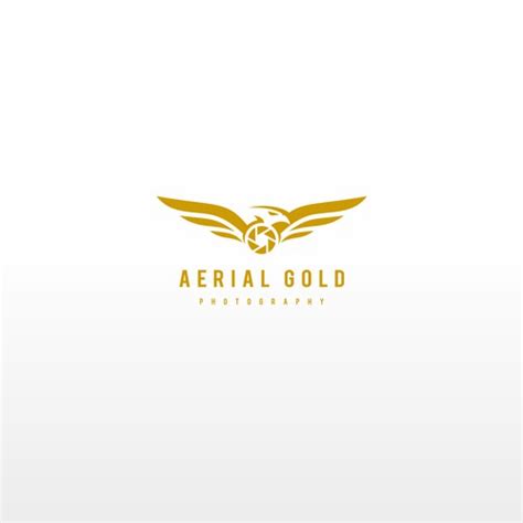 Aerial Photography Logo Logo Design Contest