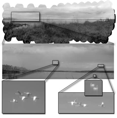 A Camera Made from Many Produces Gigapixel Images | MIT Technology Review