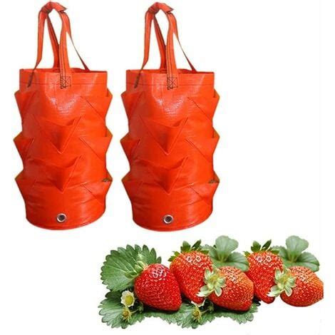 Pcs Sac Plantation Fraise Orange Plantes Sac De Croissance Sacs De