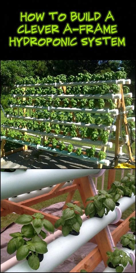 An A Frame Hydroponic System Lets You Grow At Least Twice The Amount Of