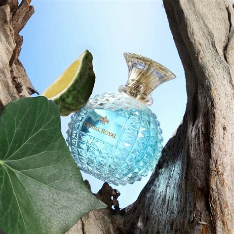 Cristal Royal L Eau By Princesse Marina De Bourbon Reviews Perfume