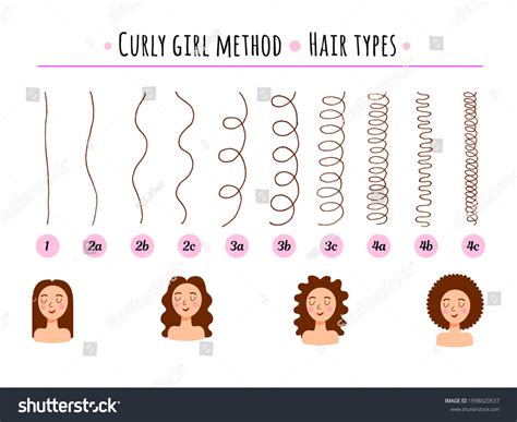 12,553 Curly Hair Types Images, Stock Photos & Vectors | Shutterstock