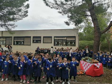 La Scuola Rosmini Celebra La Giornata Dellalbero Con La Donazione