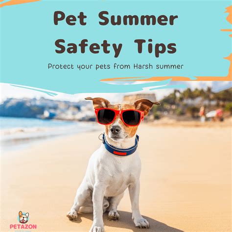 Top Pet Summer Safety Tips How To Protect Your Pets During The Hot