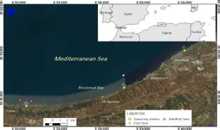 Fecal Bacterial Contamination And Physicochemical Parameters Variation