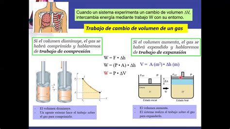 4 3 Transferencia De Energia En Forma De Trabajo YouTube