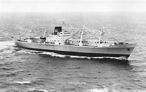 federal shire lines ship postcards