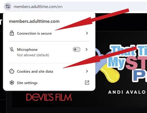 Top Safe Porn Sites Learn Now How To Pick The Safest Sites