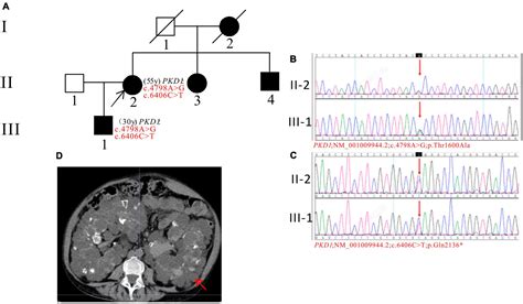 Frontiers Case Report Genotype Phenotype Characteristics Of Nine