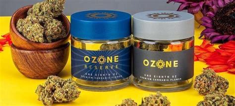 How to Use Ozone Disposable Vape Pen - Vape Dubai | Buy Vape Online in ...