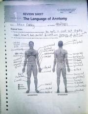 Review Sheet And Pdf Instructorsmay A Portion Of The Review Sheet