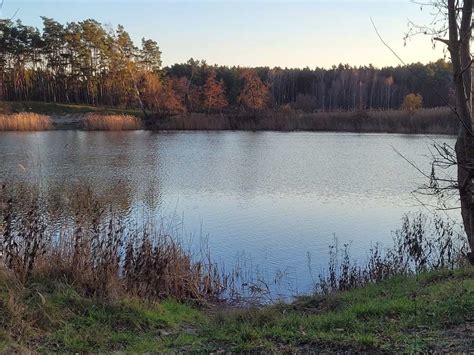 Grundst Ck Kaufen In Bad Freienwalde Oder Ot Neuenhagen Waldfl Che