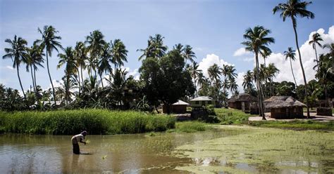 Insurgents Seize Mozambique Town Killing Several People Fate Of Hundreds Unknown The New