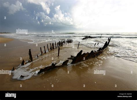 Wreck Of The Ss Dicky Caloundra Queensland Australia Horizontal