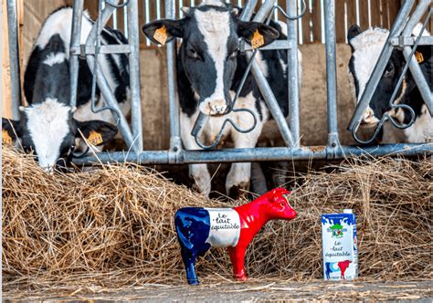 Le Lait Quitable Journ Es Nationales De Lagriculture