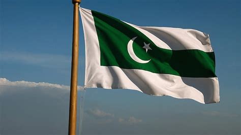 Premium Photo | A green and white flag with a star on it