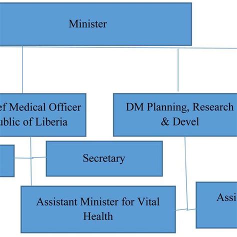 Ministry Of Health And Social Welfare Organizational Structure Download Scientific Diagram