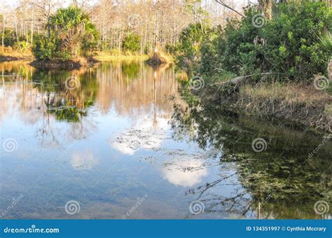 Riverbend Park In Jupiter Florida Stock Image Image Of Beach Park 134351997