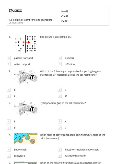 50 Membranes And Transport Worksheets For 11th Grade On Quizizz Free