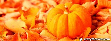 Fall Pumpkin Facebook Cover Photos Cover With Zipper